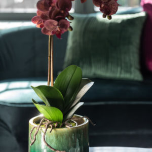 Orchidee + Pot Plastique/Ciment Rose Fonce/Argent
