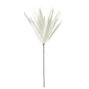 Fleur Blranche Feuilles Longues 1 Tete Eva Blanc