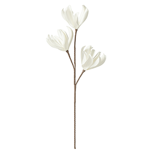 Fleur Branche Feuilles Courtes 3 Tetes Eva Blanc