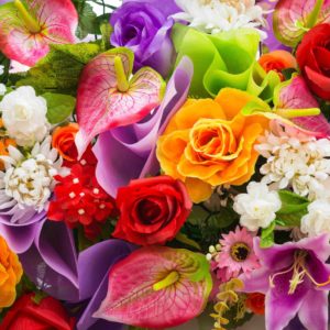 Fleurs